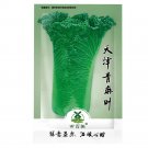 Rare 1000 pcs Cabbage seed garden vegetable Ruffle Green Curly Vegetable