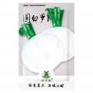 Rare 700 pcs Hailstone White Globe Radish Seeds, White Button, NON-GMO