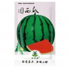 Rare 25 pcs Watermelon Seeds | Organic Fruit Watermelon