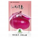 Rare 220 pcs Seeds Onion Red Baron Giant Round Vegetable Planting