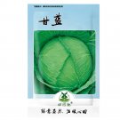 Rare 400 pcs Cabbage Seeds Cabbage Wraps NON-GMO