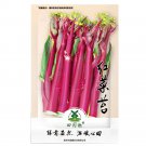 Rare 1500 pcs Purple Choy Sum seeds Hon-Tsai Tai Kosaitai Flowering