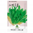 Rare 3000 pcs Shepherd's Purse Seeds Vegetable Modern Herbal Capsella Bursa-pastoris