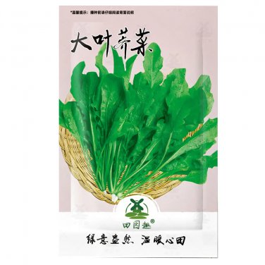 Rare 3000 pcs Shepherd's Purse Seeds Vegetable Modern Herbal Capsella Bursa-pastoris