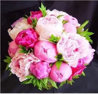 Rare 10 PCS Chinese Peony Seeds - Mixed Rose Red Light Pink Whitish Pink Ball Flowers