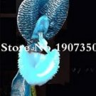Rare 100 PCS Phalaenopsis Orchid, Phalaenopsis Flower Seeds - Sky Blue Flowers with Black Spots