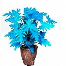 Rare 200 PCS Philodendron Tree Seeds - Blue Hybrid