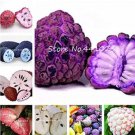 Rare 20 PCS Graviola Annona Muricata Sweetsop Delicious Fruit Seeds - Mixed