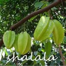 Rare 50 PCS Carambola Seeds - 2 Types Available
