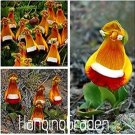 Rare 200 PCS Calceolaria tomentosa Seeds Yellow Slipper Flower Lady's Purse