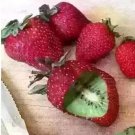 Rare 300 PCS hailand Strawberry ‘Kiwi’ Seed Organic Sweet Fruit