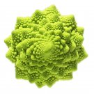 Rare 100 PCS Roman Broccoli Seeds Vegetables