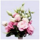Rare 100 PCS Eustoma Grandiflorum Seeds Water Pink Double Flowers Hybrid