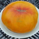 Rare Hawaiian Pineapple Big Orange Red Tomato Seeds 100 Seeds