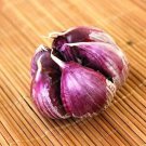 Rare Multi-petals Garlic Seeds Organic Red Bulb 100 Seeds