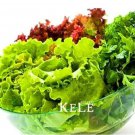 Rare Organic Spring Lettuce Vegetable 100 Seeds