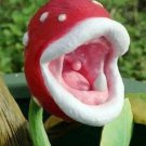 Rare Insect-catching Plant Enchantress Carnivorous Plant Desk Pot Seeds, 150 Mixed
