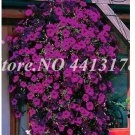 Rare 200 Pcs Bonsai Hanging Petunia Garden Petunia Mixed Color