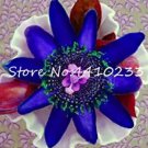 Rare 20 Pcs Seed Passion Flower, Passiflora Incarnata Certified Pure Live