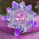 Rare 20 Pcs Seed Passion Flower, Passiflora Incarnata Certified Pure Live