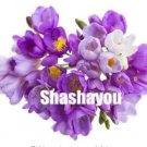 Rare 100 Pcs Freesias Bonsai Gorgeous Colorful & Fragrant Plants Cut Orchid