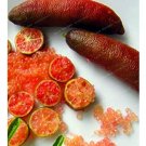 Rare 20 PCS Novel Finger Limes Citrus Pomegranate Bonsai Seeds