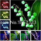 Rare 100 Pcs Lily of The Valley Flower Bonsai, Bell Orchid Bonsai Plants