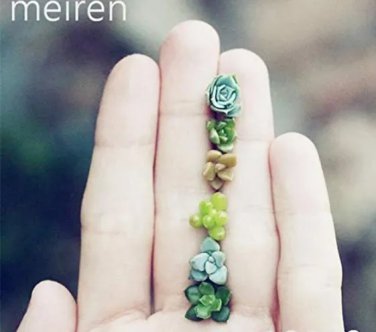 Rare 100 pcs Mix Lithops Bonsai Living Stones Succulent Cactus Organic Garden