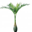 Rare 20 Pcs Exotic Bottle Palm Seeds Bonsai Tropical Ornamental Tree Plant Seeds