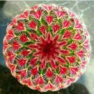 Rare 200 Pcs/Pack Egg Succulents Bonsai Echinopsis Tubiflora Cactus Flores Rare Flower