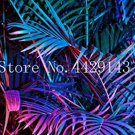 Rare 10 Pcs 100 Mix Colors Japan Bottle Palm Tree Bonsai Exotic Plants Bonsai Tree Tropical