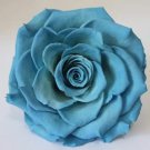 Rare 100pcs Exotic Rainbow Rose Plants Mixed Colors Rosa Planta