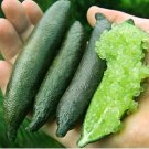 Rare 20 Pcs Novel Finger Limes Citrus Pomegranate Bonsai