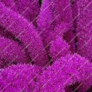 Rare 120 PCS Purple Bamboo Foxtail Seeds