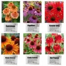 Rare 6 Packs Echinacea Purpurea Coneflower Seeds 6 Color