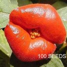 Rare 100 PCS Rare Sexy Red Lip Flower Seeds Rare Seed