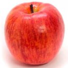 Rare Apple Tree Seed Rare Fruit 50 Seed Dwarfing Tree Red