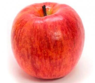 Rare Apple Tree Seed Rare Fruit 50 Seed Dwarfing Tree Red