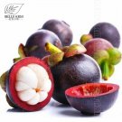 Rare 50 Pcs/Pack Mangosteen Seeds Tropical Sour Sweet Fruit Seeds