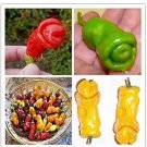 Rare ADB Inc Penis Chill Red Hot Peter Pepper Seeds 200pcs Vegetables & Fruit Seeds