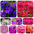 Rare 100 Mixed Japanese azalea seeds (Rhododendron lateritium Planch)