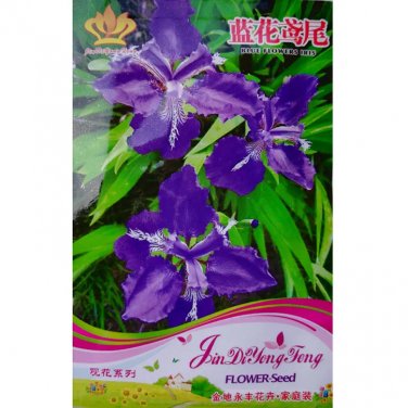 Rare Rhizoma Iridis Orris Root Blue Flowers Seeds, 30 Seeds / Pack, Original Pack