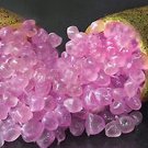 Rare Imported Pink Rose Bliss Finger Lime Plant 10 seeds