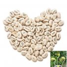 Rare 100 Pcs Lot Mini Magic White Bean Seeds