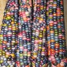Rare Glass Gem Corn - Rare Heirloom Variety (50 seeds)