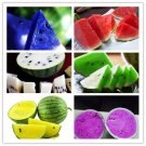 Rare Watermelon seeds 50pcs fruit vegetable seeds