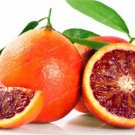 Rare 30 PCS Rare Red Lemon Tree Seeds High Survival Rate Fruit Seeds