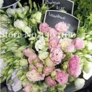 Rare Colorful Eustoma Seed Perennial Flowering Plants Balcony 100 Seed