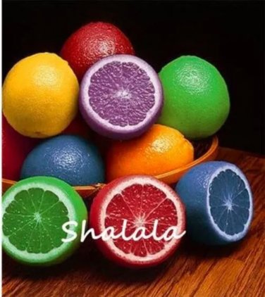 Rare Rainbow Lemon Seed Dwarf Lime Tea Fruit plants Citrus Limon Tree 50 pcs