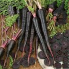 Rare BELLFARM Black Nebula Carrot Seeds 100PCS